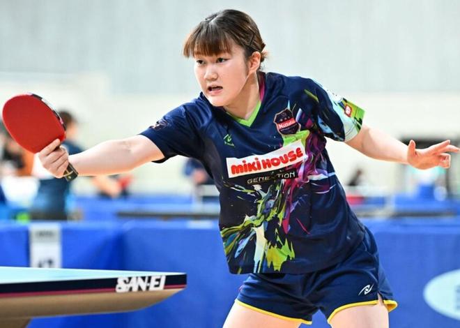 网球运动 网球运动