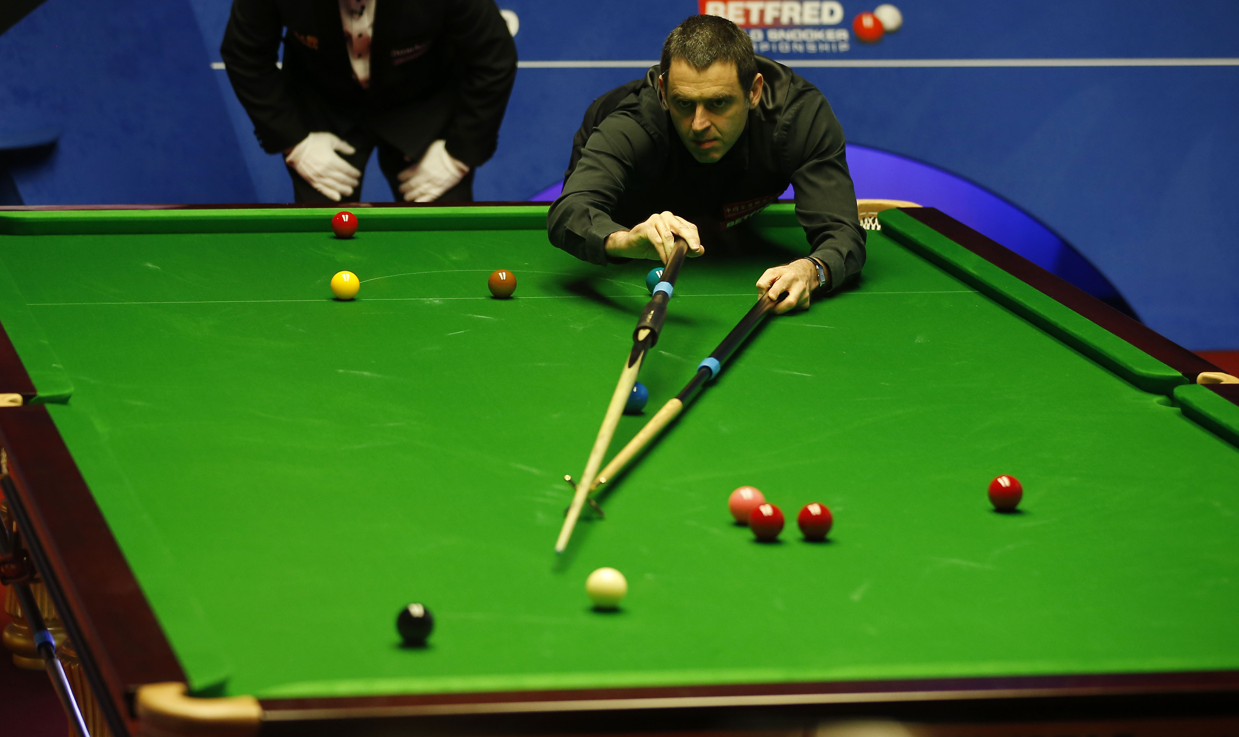 看到了理解 看到了理解