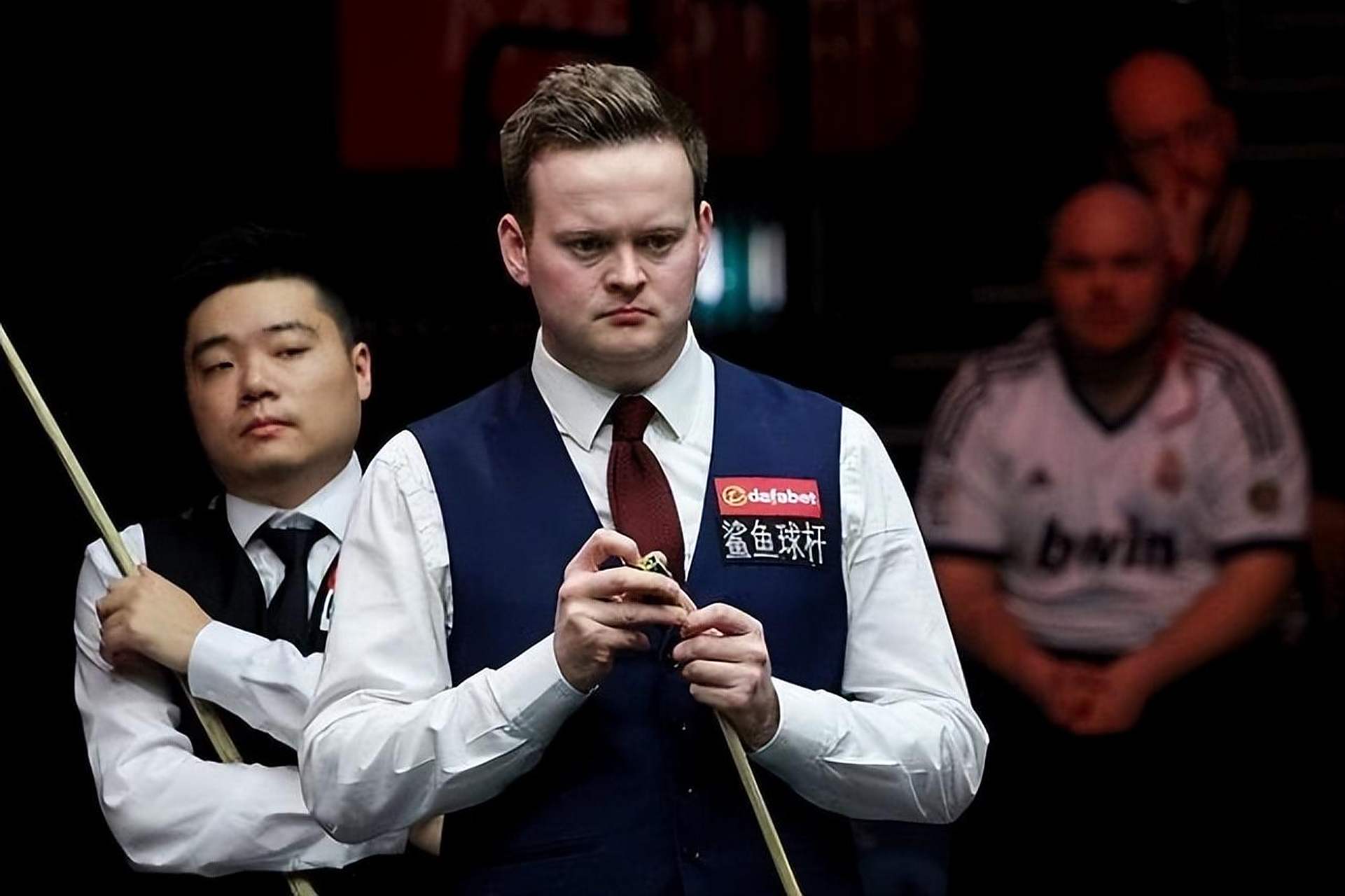 俗的灰熊 俗的灰熊