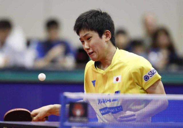 多依赖年轻 多依赖年轻