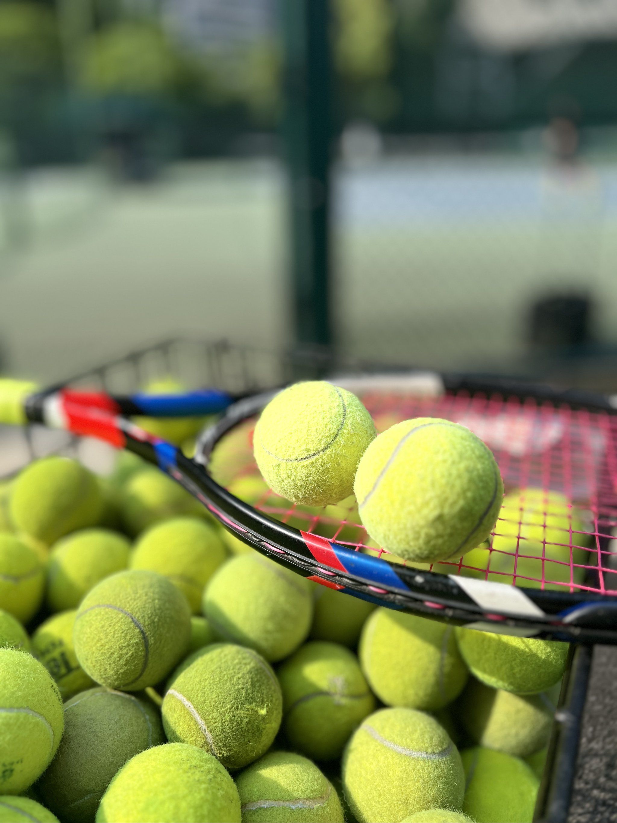 iG又大胆 iG又大胆